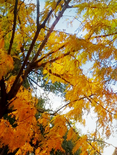 goldentree